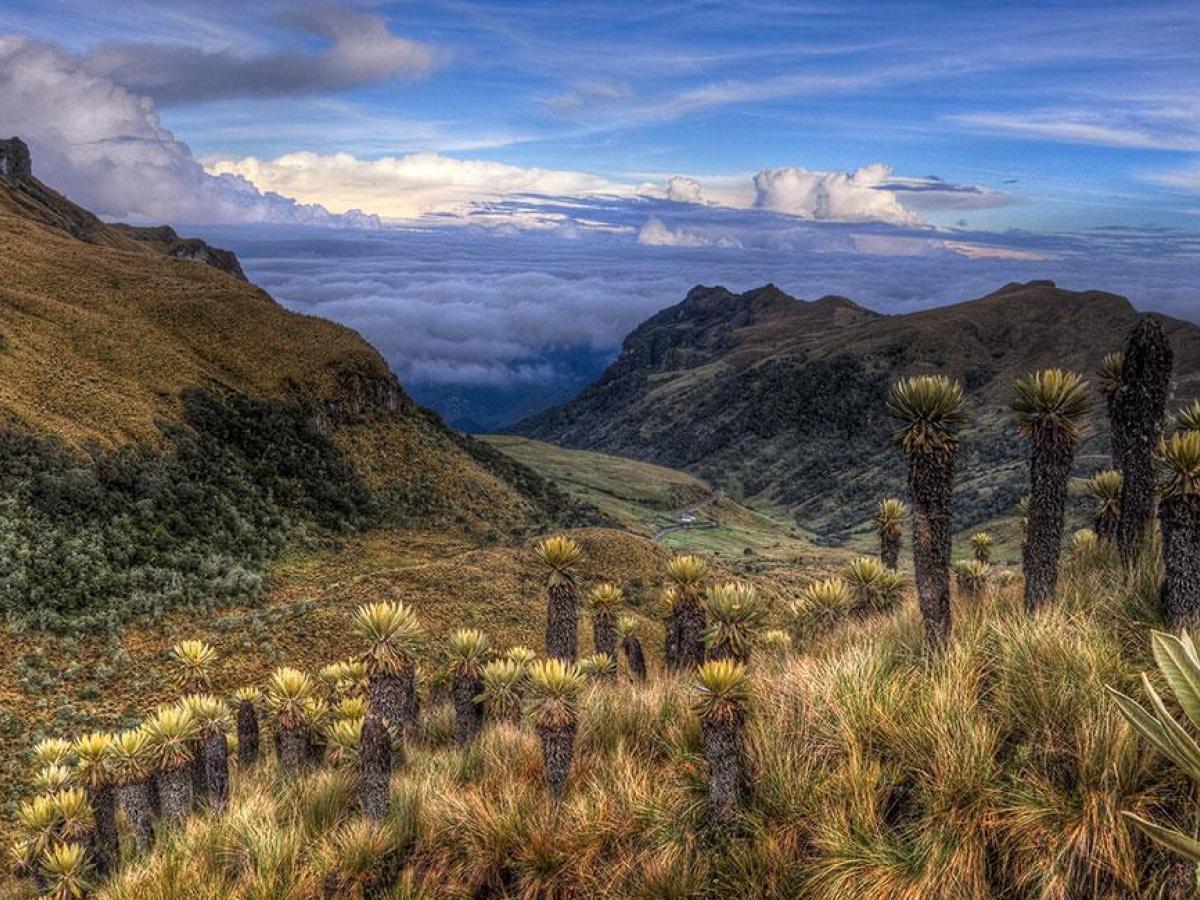 En Manizales, operadores turísticos piden reapertura del Nevado del Ruiz