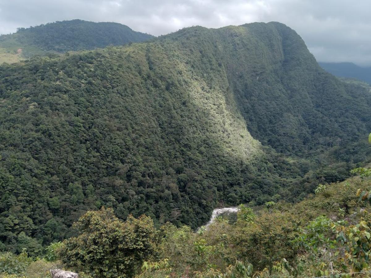 Turismo en los Llanos orientales: deportes extremos, naturaleza y gastronomía