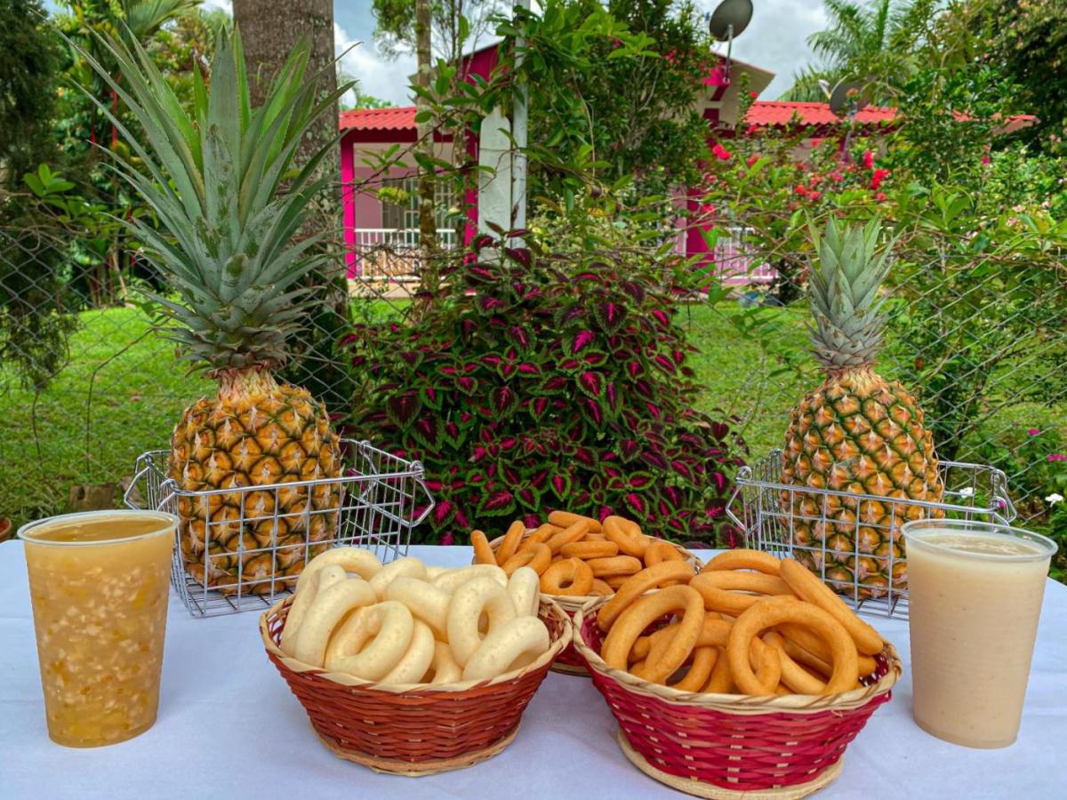 Festival del Pan de Arroz 2023: qué es, eventos y programación 