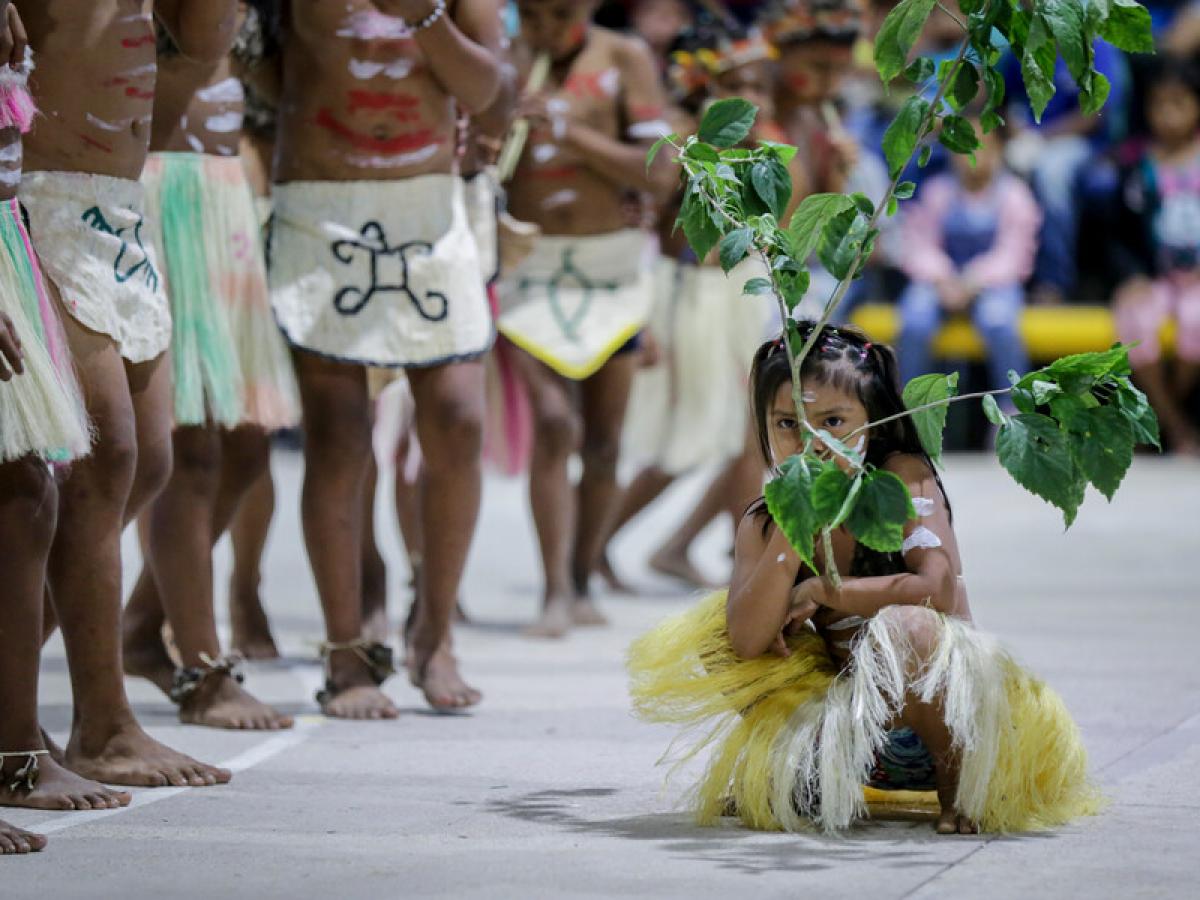 Día Nacional niñez indígena: reivindicar la importancia de los niños