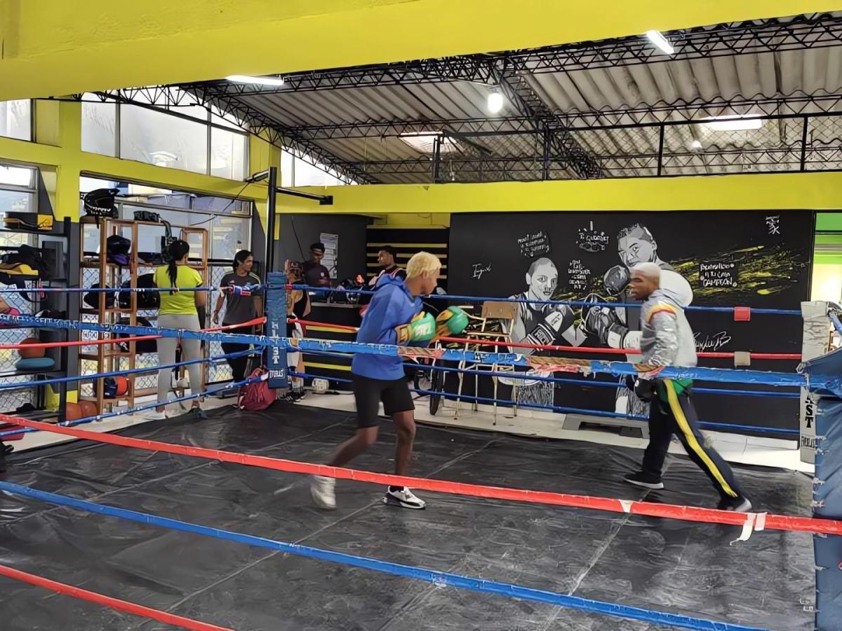 Boxeadores se preparan para los próximos Juegos Deportivos Nacionales.