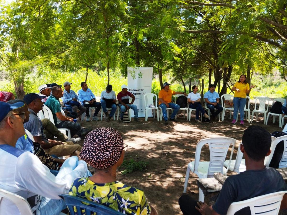 ¿Cuántas tierras serán restituidas a comunidades wayuu en 2024?