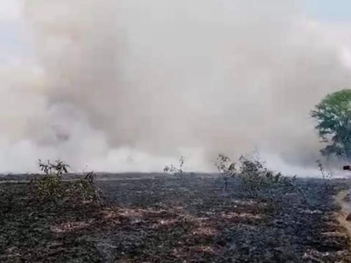 Incendio forestal en Zapayán, Magdalena 