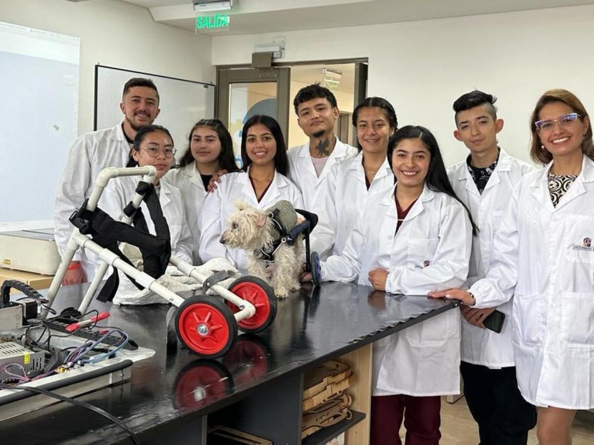 Proyecto para las mascotas con movilidad reducida 