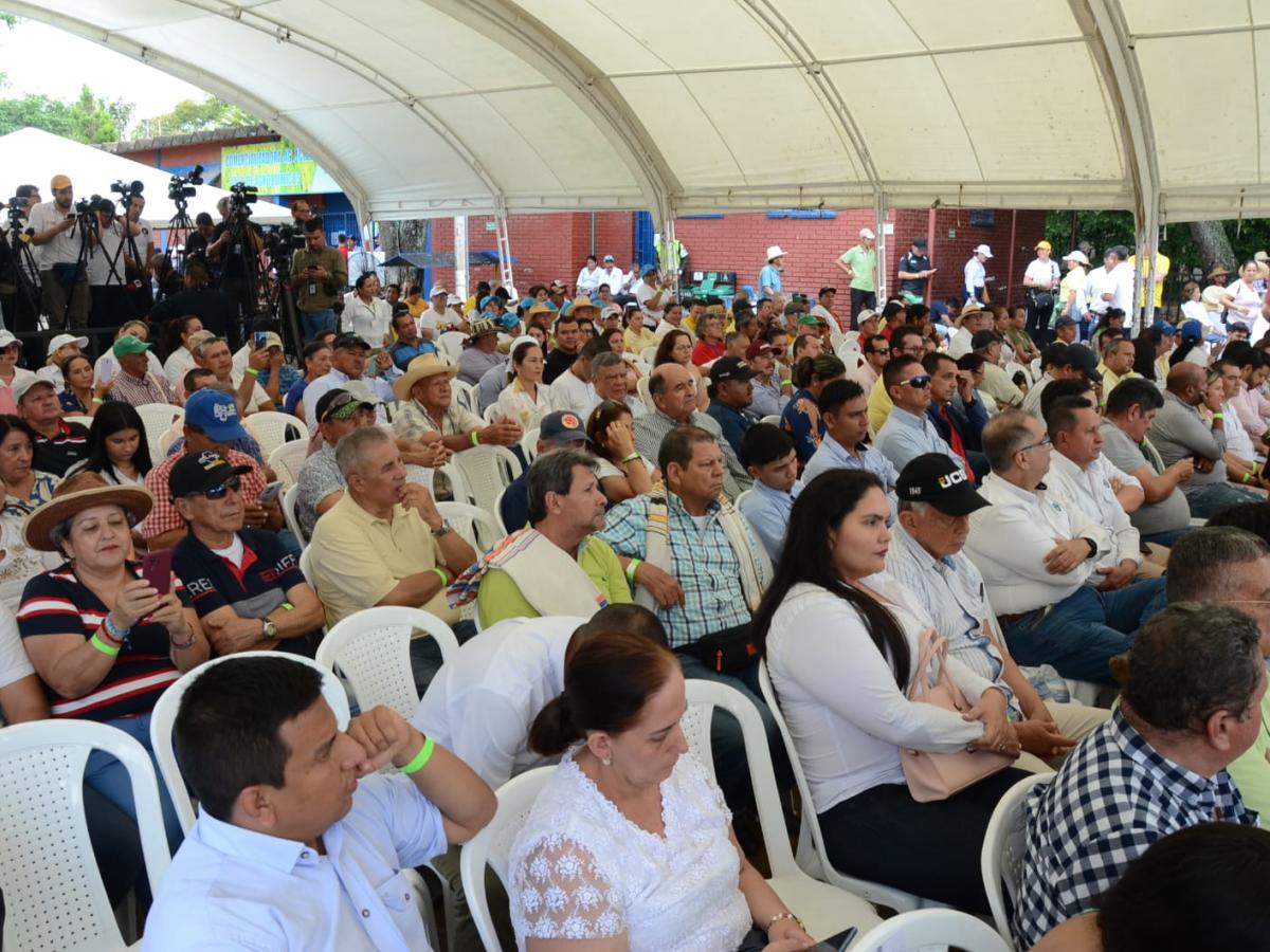Producción de arroz: nuevo proyecto en Huila