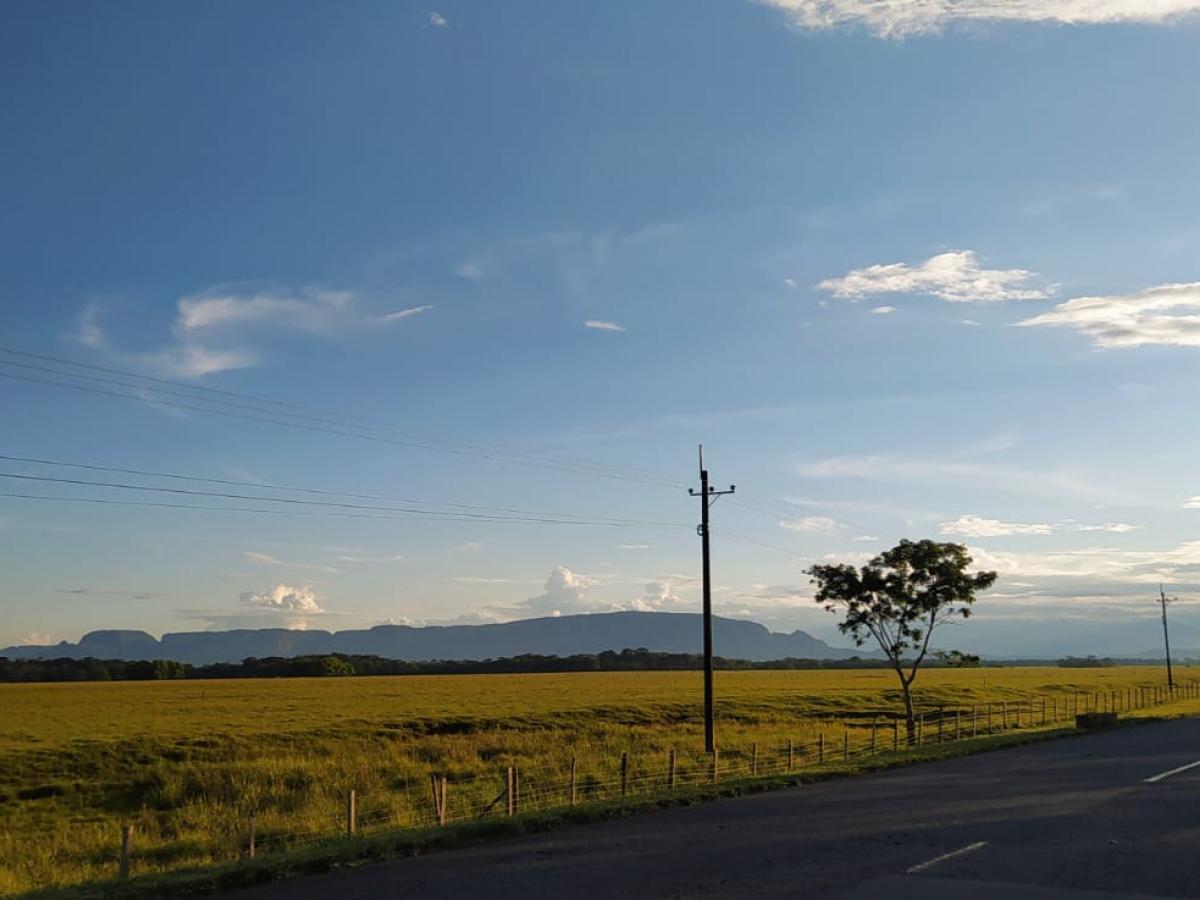 Nuevo emprendimiento de firmantes de paz en el Meta