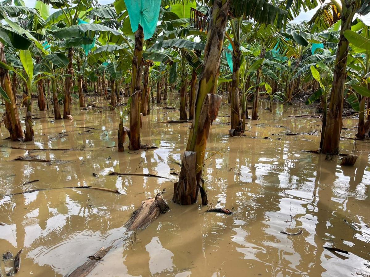 Antioquia: Emergencia por lluvias dejan tres muertos y diez desaparecidos