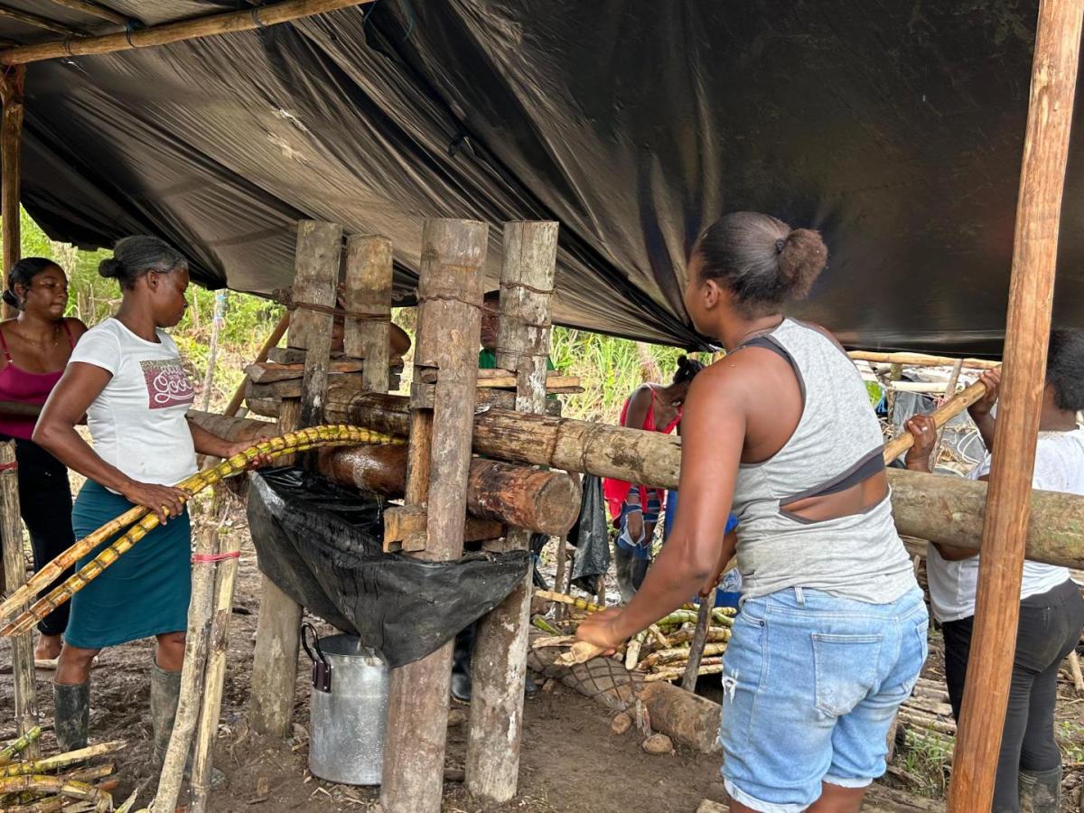 Tumaco: Mujeres le apuestan a la transformación de la caña