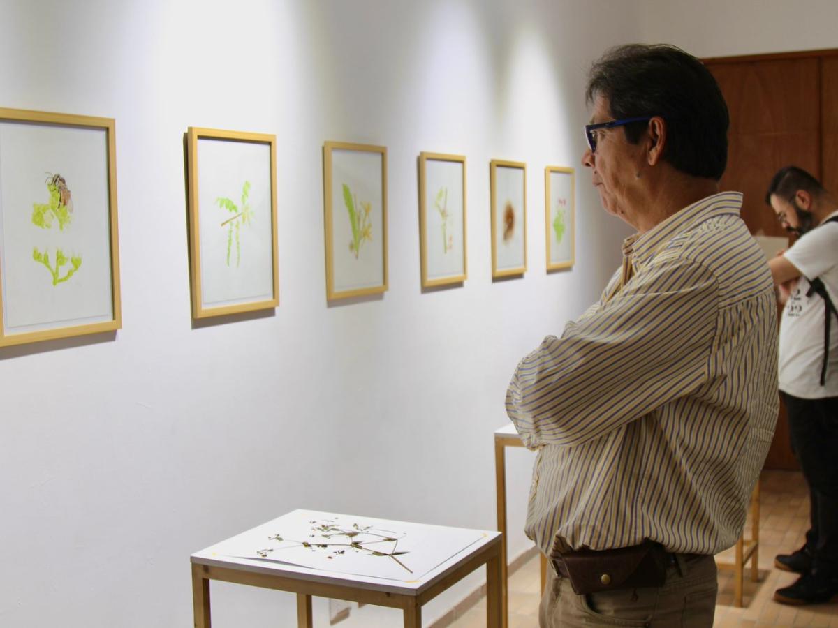 Manizales: Se acerca la Semana de los Museos