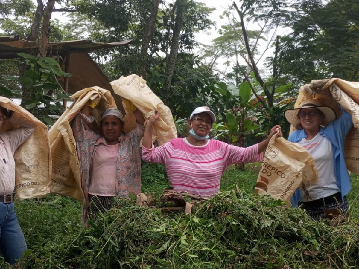 En el Meta mujeres víctimas de violencia le apuestan a emprender con la avicultura