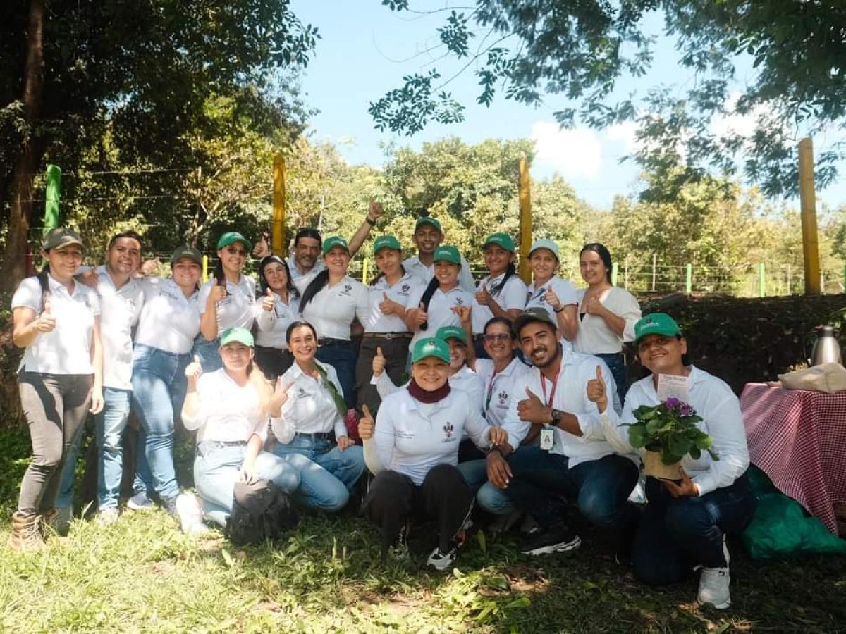 Siembran en Casanare 160 mil árboles