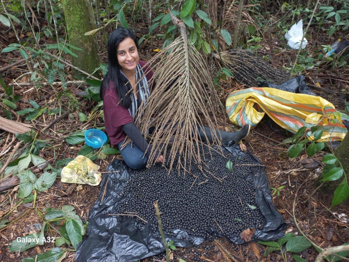 COP16: iniciativas conservación ambiental Amazonas