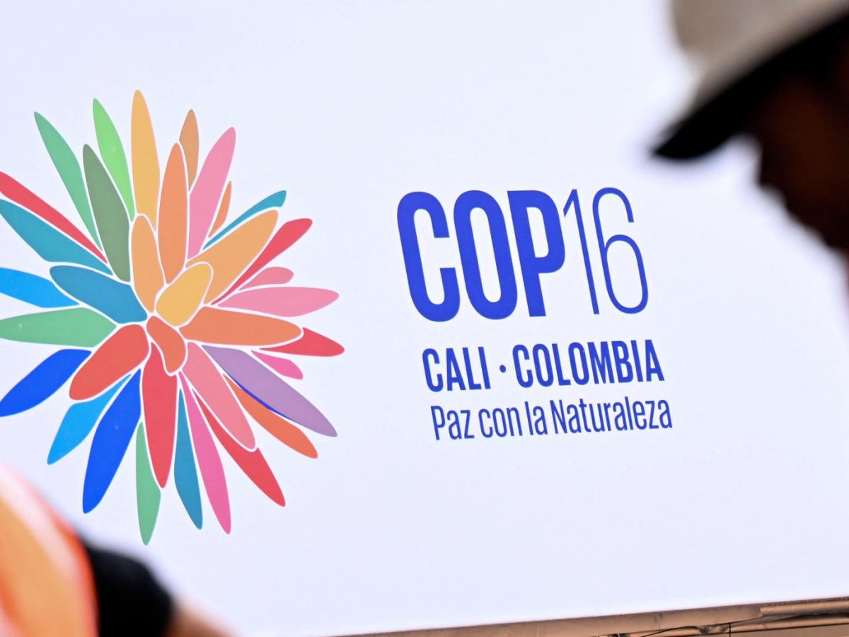 Inauguración COP16 20 octubre: invitados, actividades