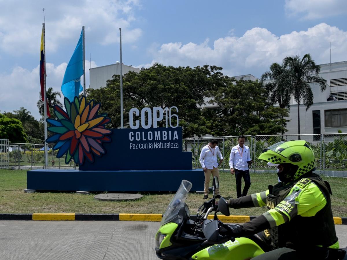 Pico y placa Cali en COP16: 21 al 25 de octubre