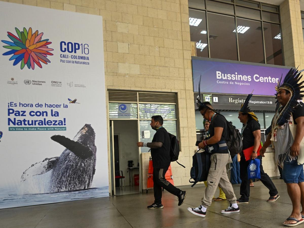 COP16: what are the Blue and Green Zone?