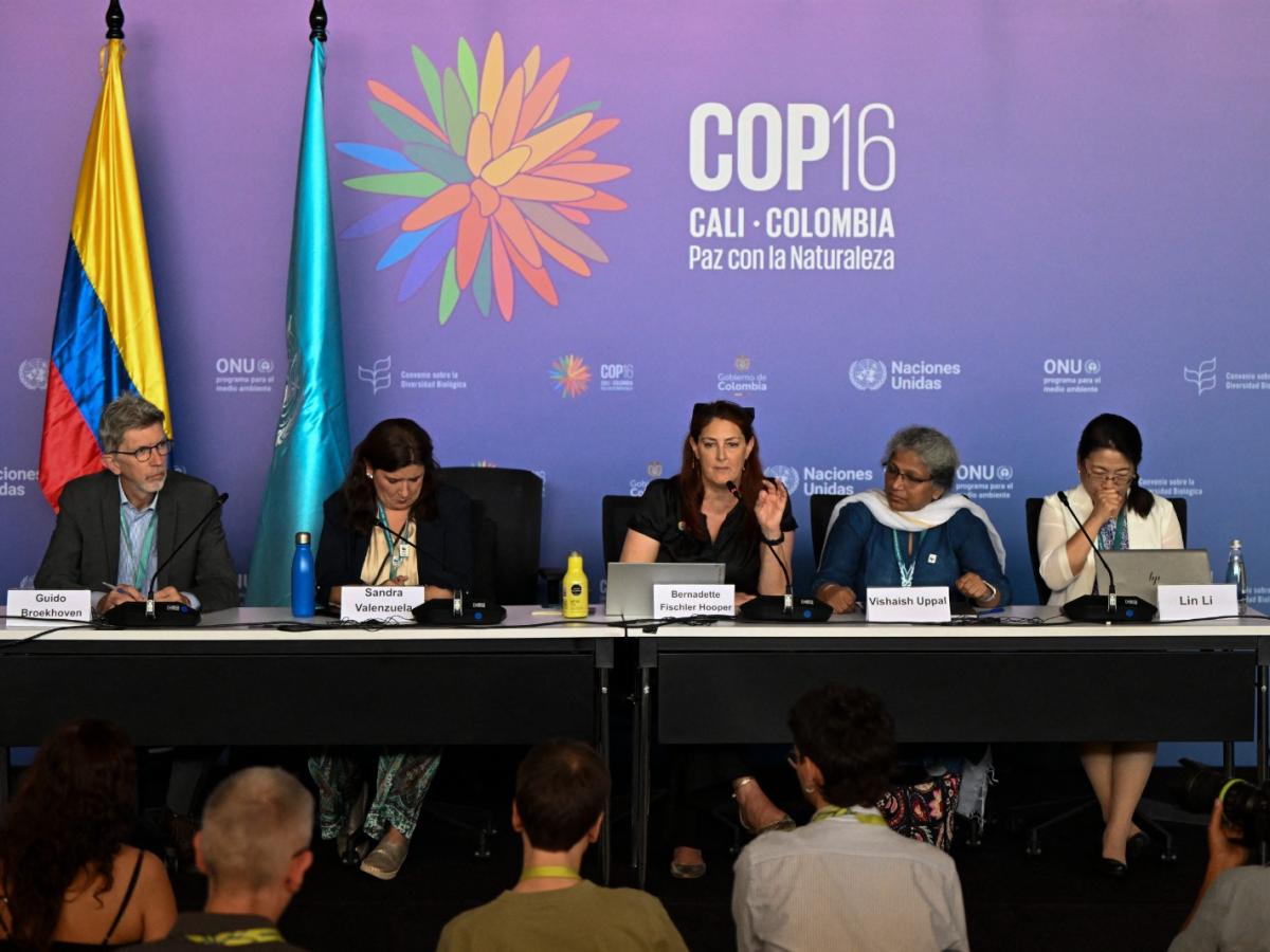 COP16, martes 22 de octubre. Horarios, eventos y dónde ver en vivo