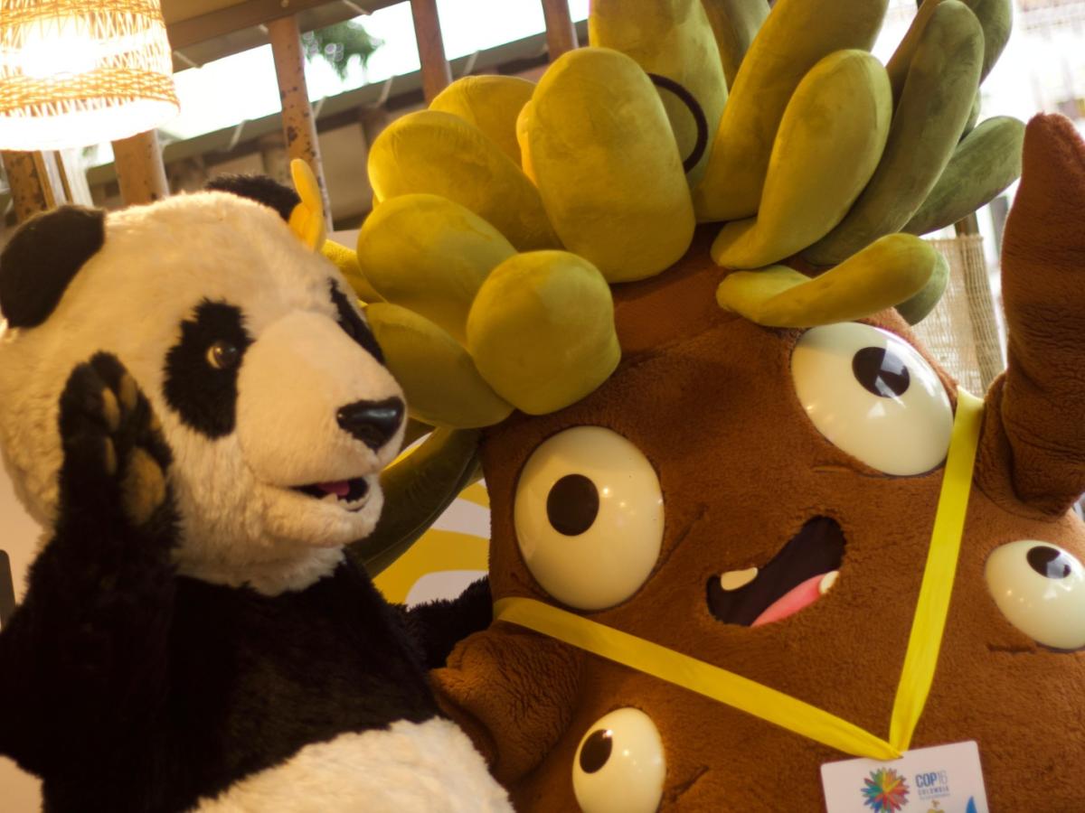 Programación COP16 HOY martes 29 de octubre: Horarios, eventos y ver en vivo