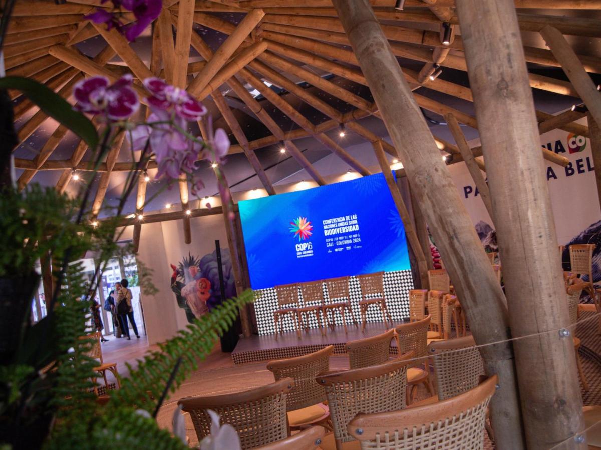 Programación COP16 HOY jueves 31 de octubre: Horarios, eventos y ver en vivo