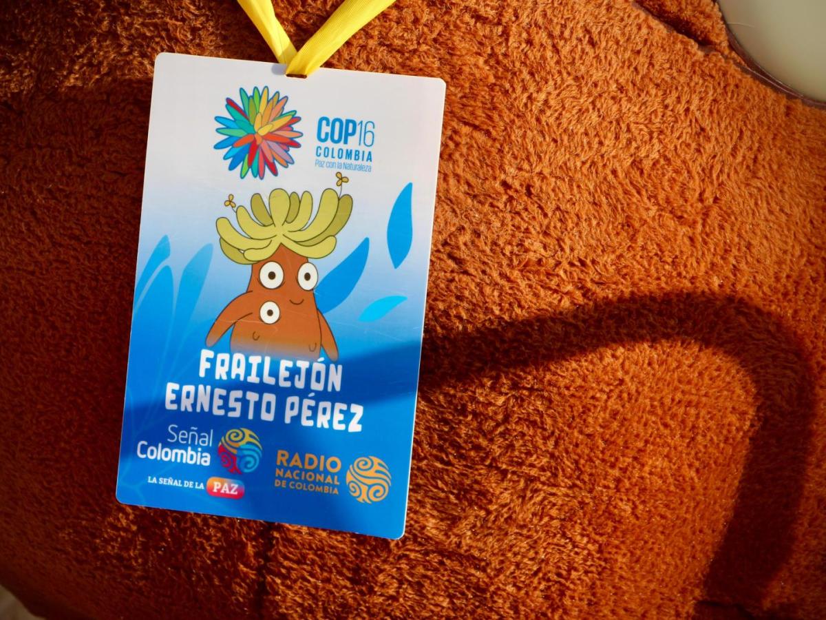 Programación COP16 HOY jueves 1 de noviembre: Horarios, eventos y ver en vivo