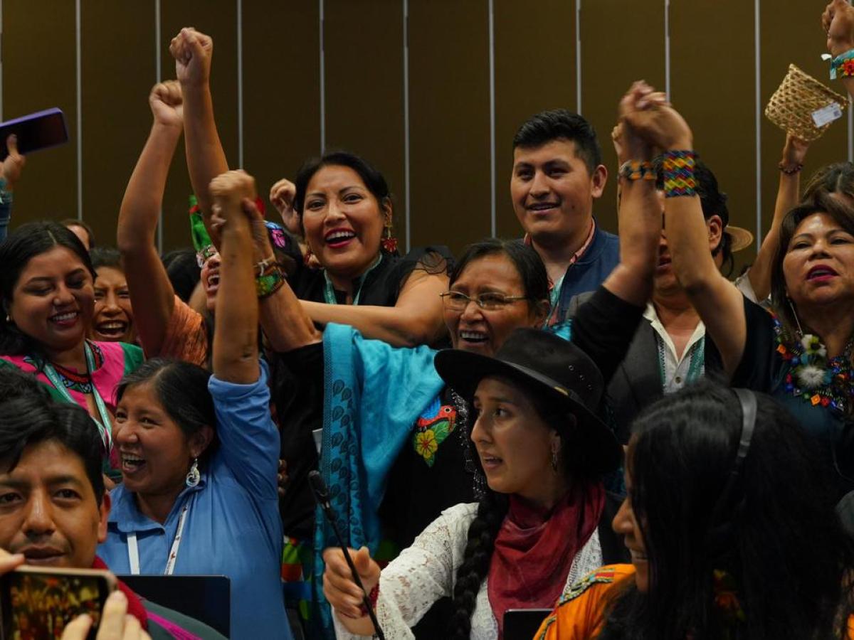 Logros de la COP16: Biodiversidad y Comunidades Indígenas