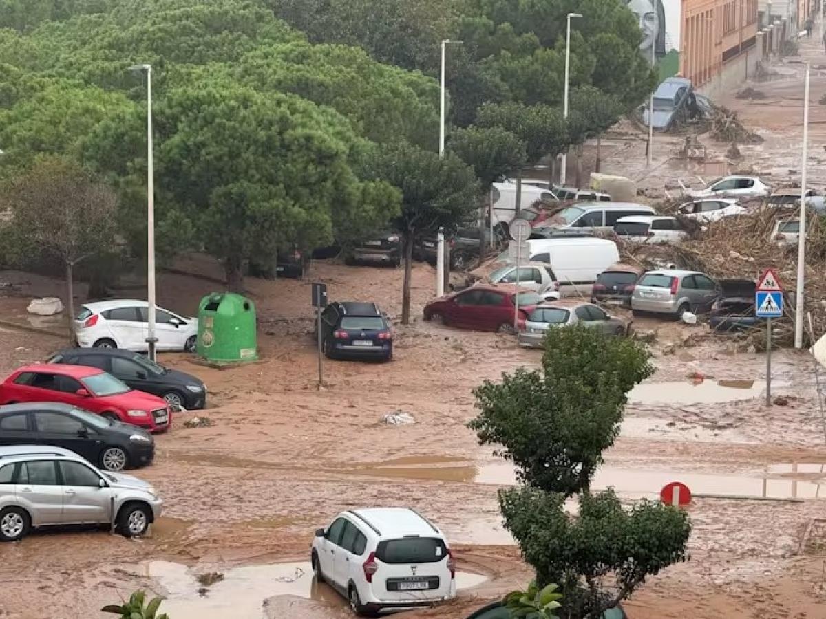 Las catastróficas consecuencias de confundir aviso meteorológico con alerta de riesgo