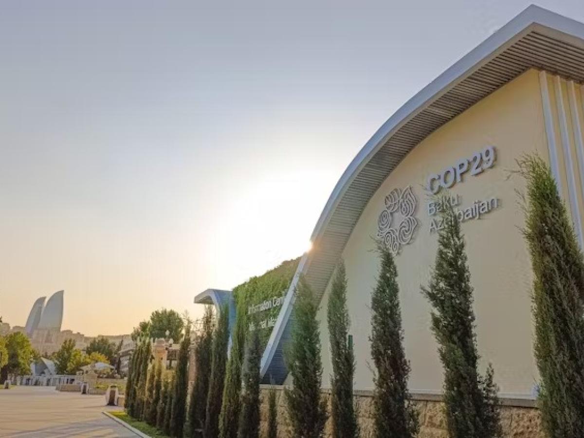 COP29: ¿qué podemos esperar de esta cumbre climática?