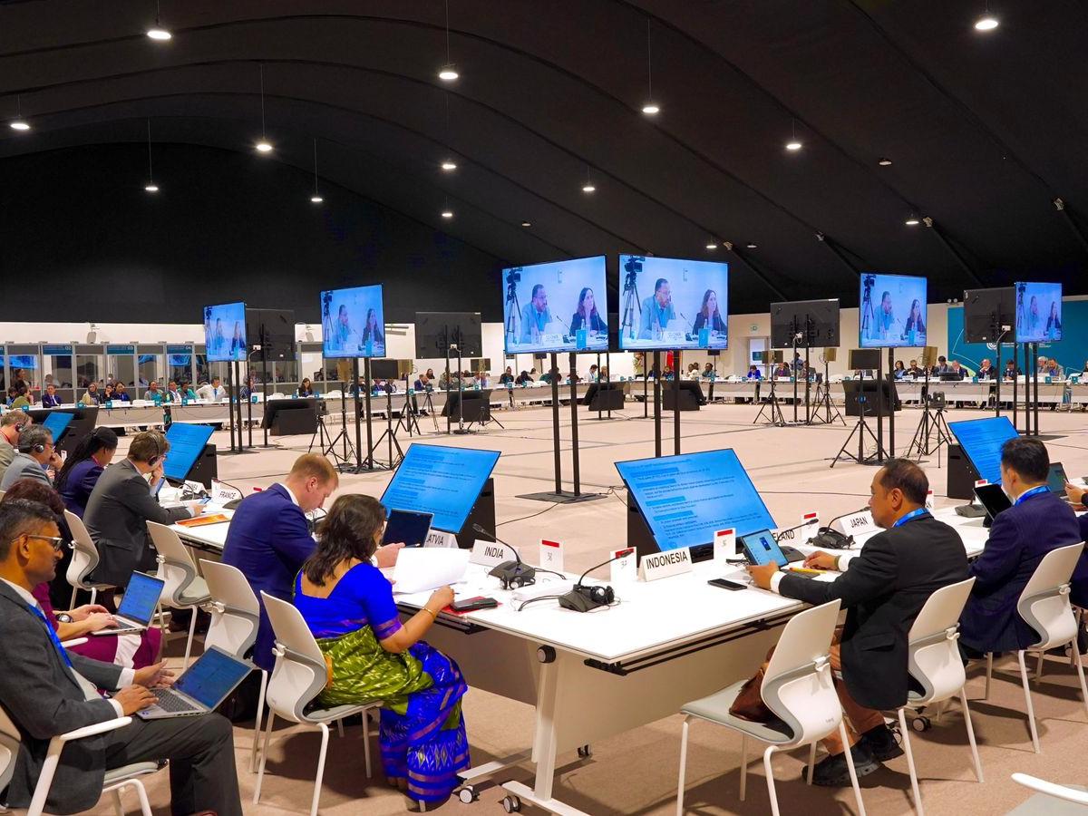 Colombia pide acciones concretas y financiación en la COP29