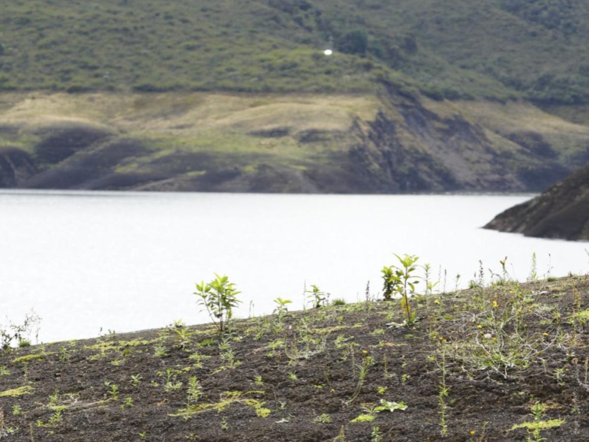 Racionamiento de agua en Bogotá: alcaldía aclara si tendrá cambios
