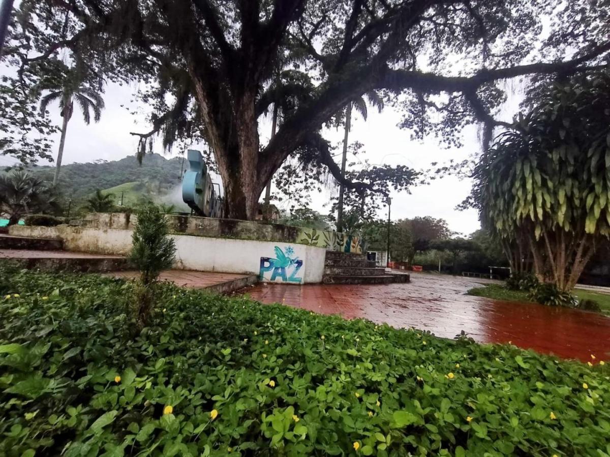 Avances diálogos de paz con disidencias en Catatumbo