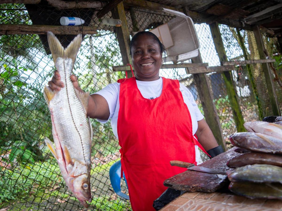 Buenaventura, gastronomía y tradiciones: Platoneras del Pacífico