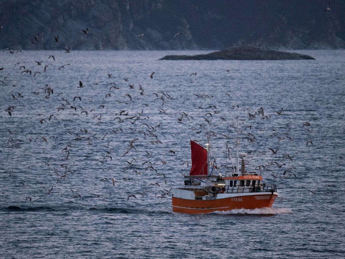 Calentamiento climático 2024: superará umbral de 1.5 °C