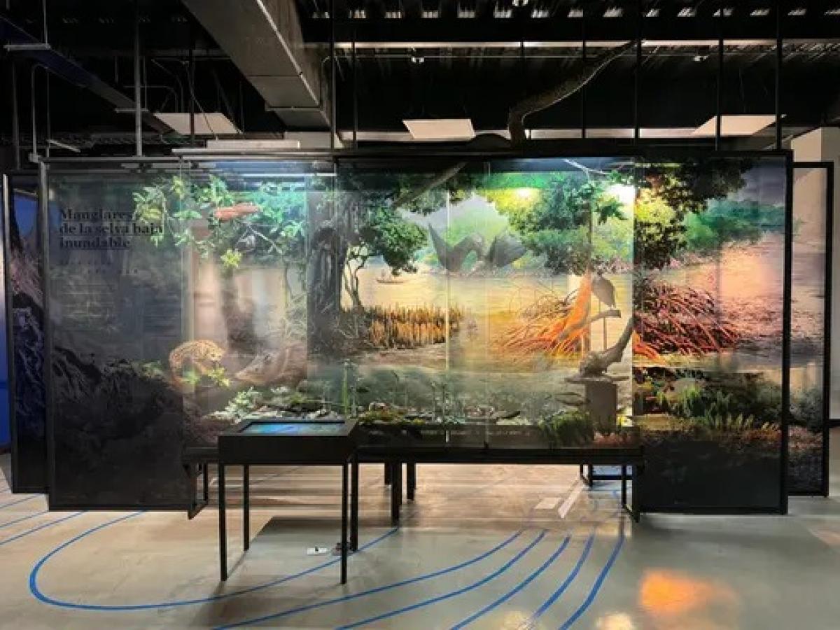 Gobernación del Valle del Cauca- INCIVA