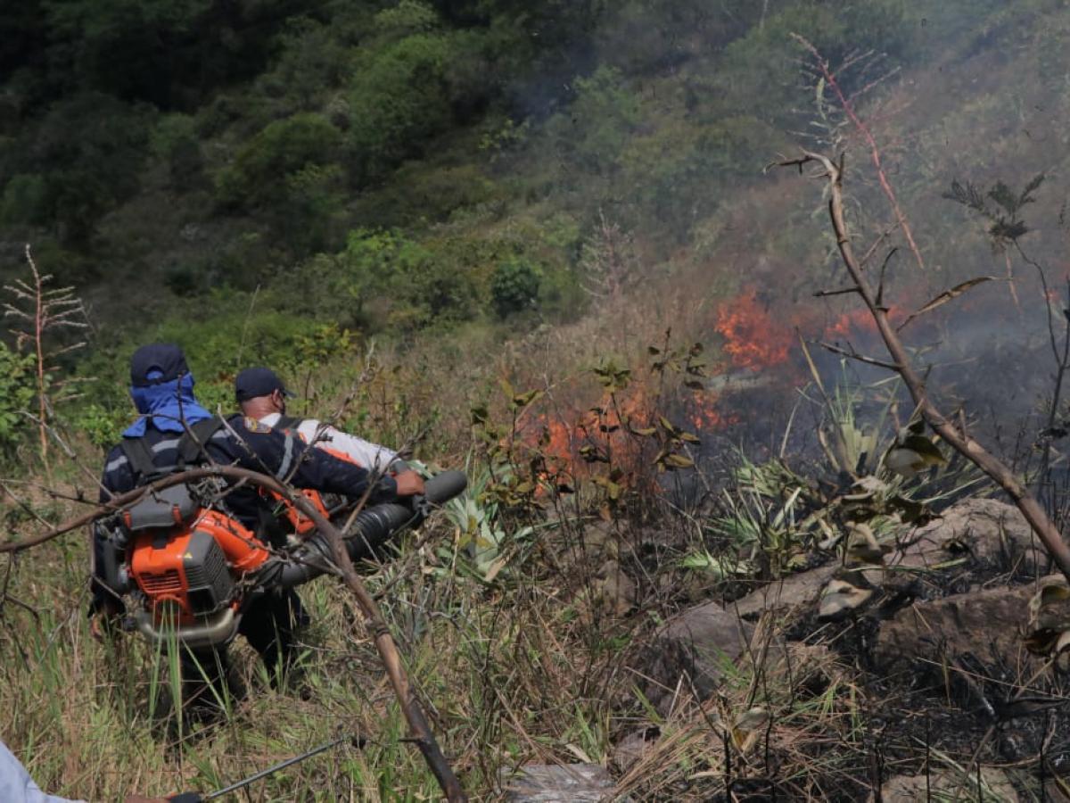 Alerta roja en 26 municipios del Meta debido a los incendios forestales