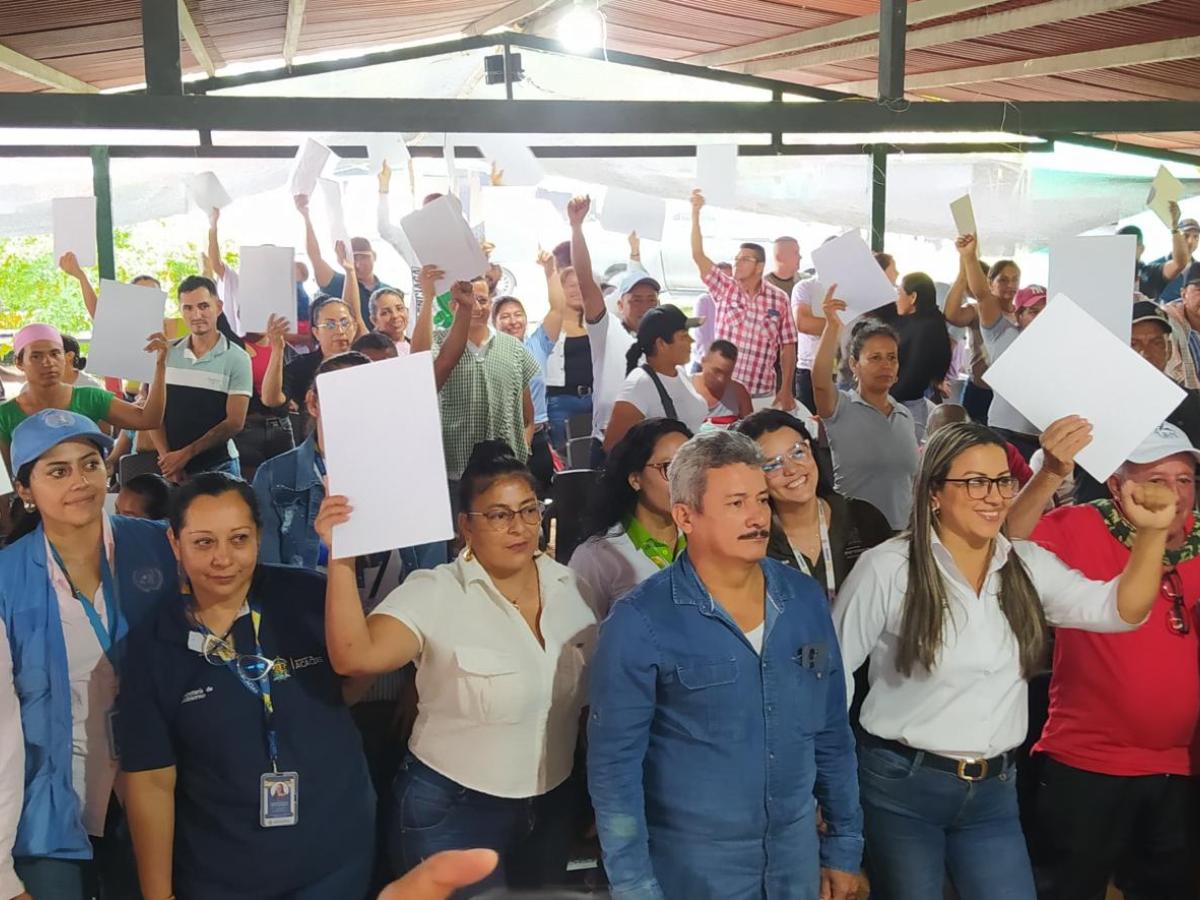 Entrega de tierras: Meta