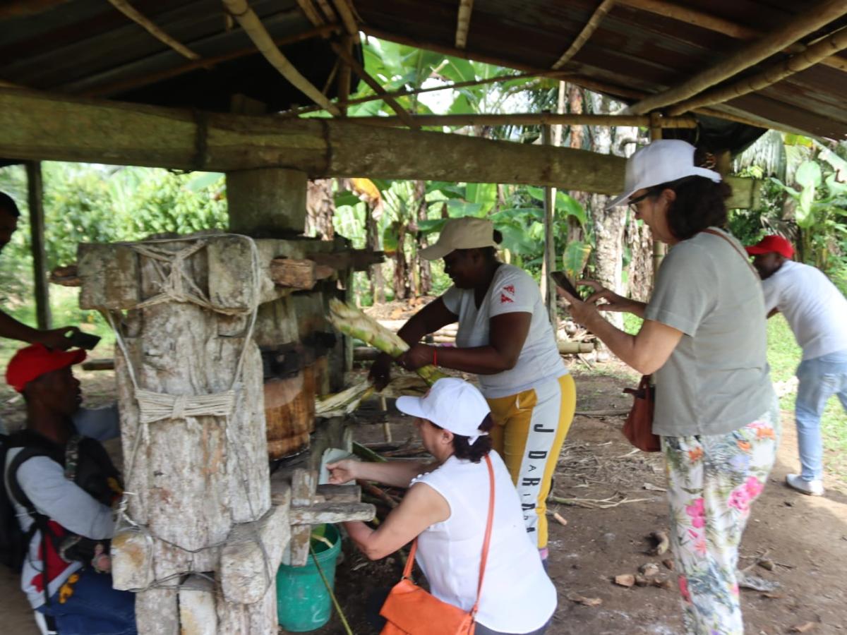  Construcción de paz a través del viche 