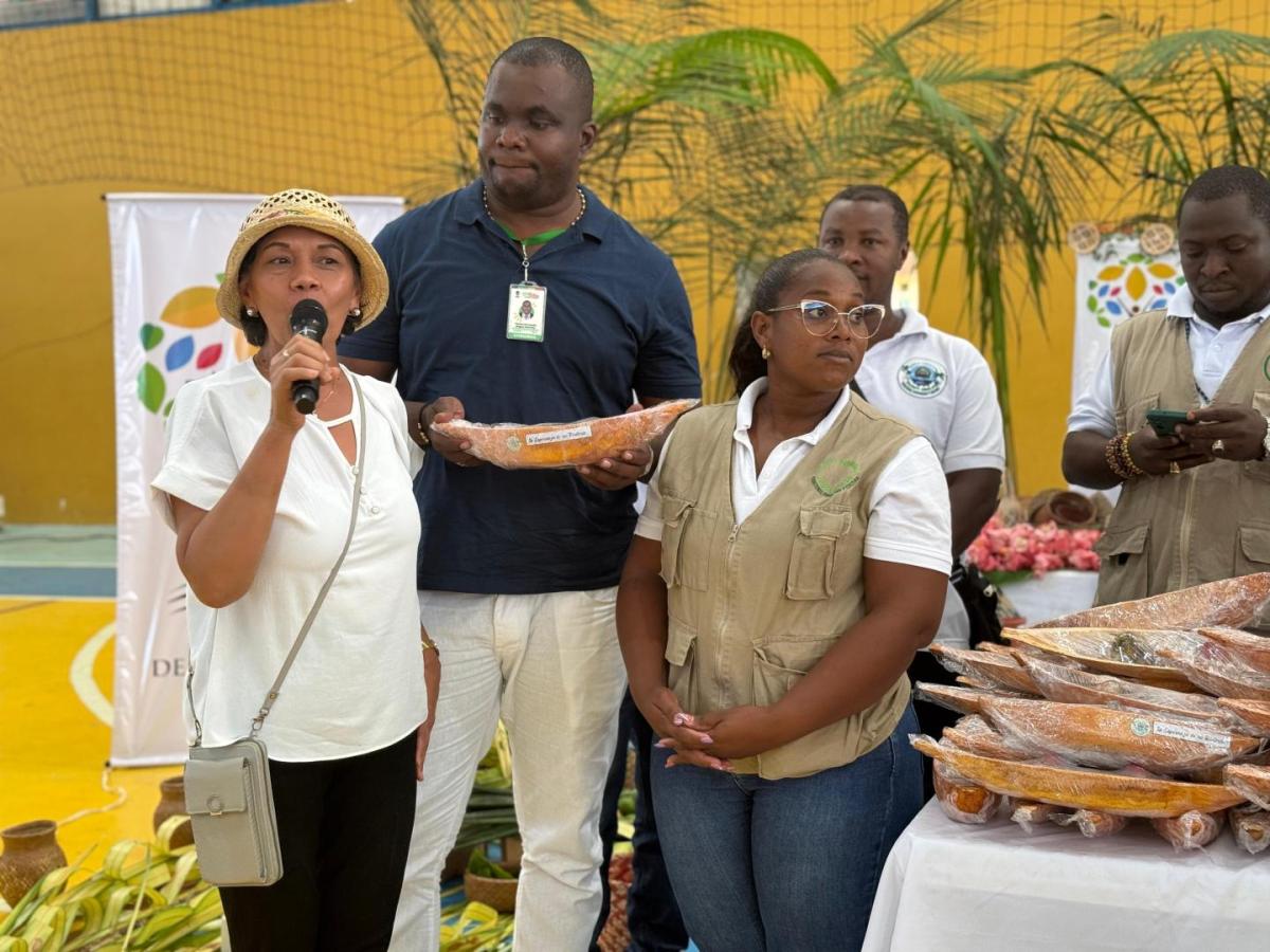 Restitución de tierras:  más de 92 mil hectáreas a comunidades indígenas y afros del pacífico caucano