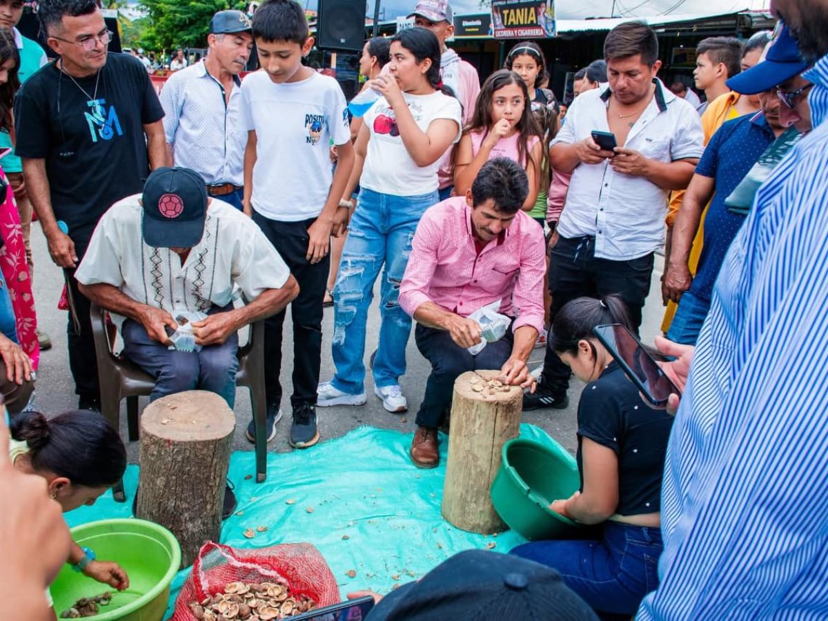 Árbol de Cacay: el legado ancestral que cultivan los campesinos en Lejanías, Meta 