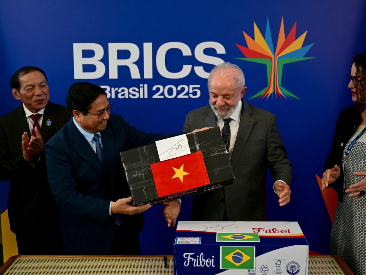 Cumbre BRICS en Brasil: países asistentes y objetivos 