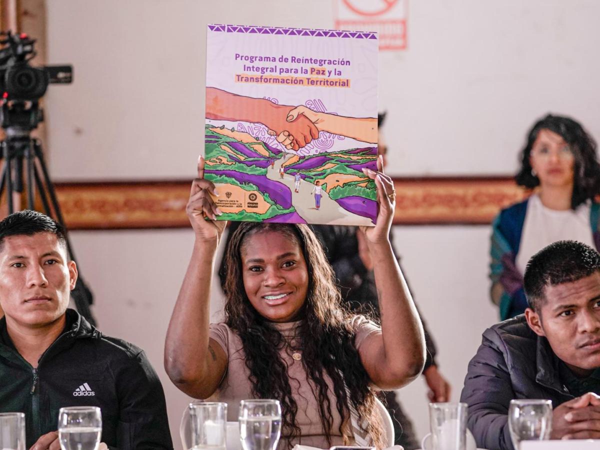 Programa de reintegración de excombatientes en Nariño: así avanza la paz territorial en el sur de Colombia
