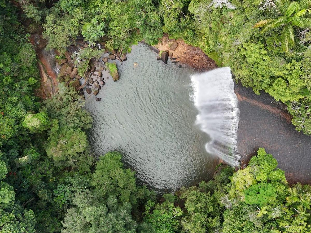 26 de septiembre, Día Mundial de la Salud Ambiental