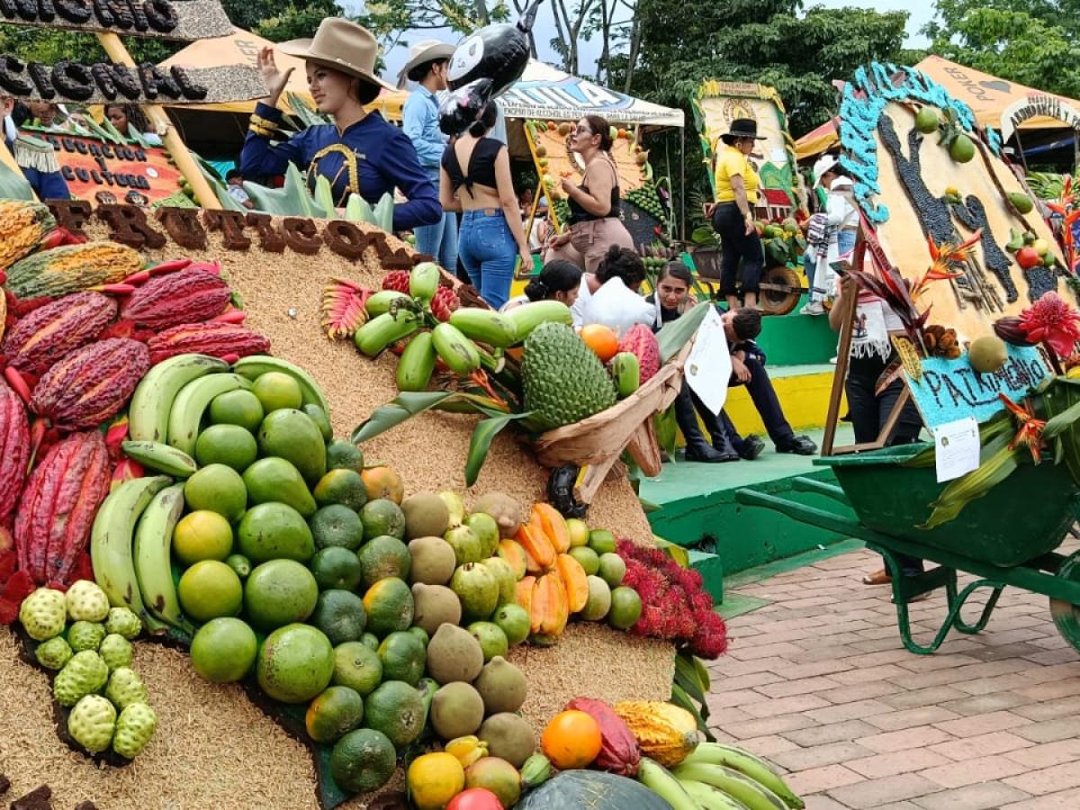  Desfile de Carretillas Frutícolas lejanías, Meta