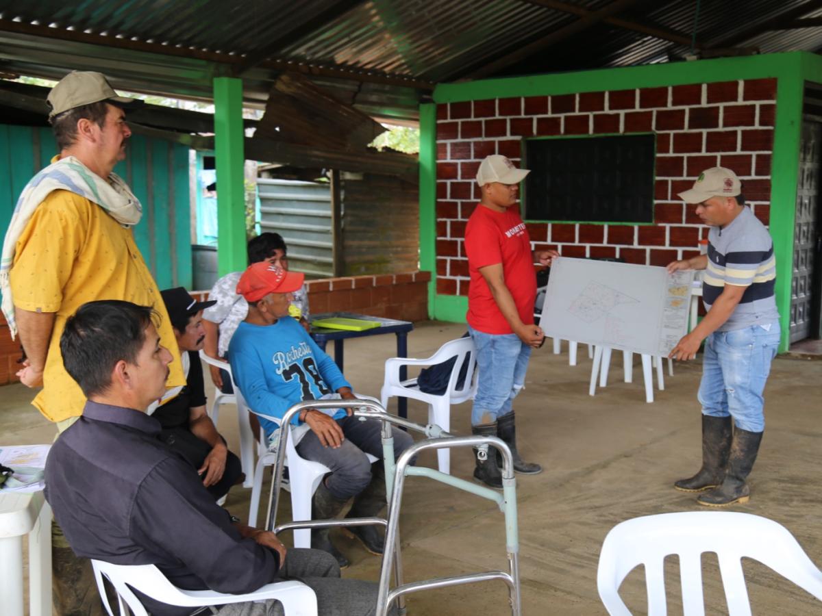Deforestación en la Amazonia colombiana:  Instituto SINCHI