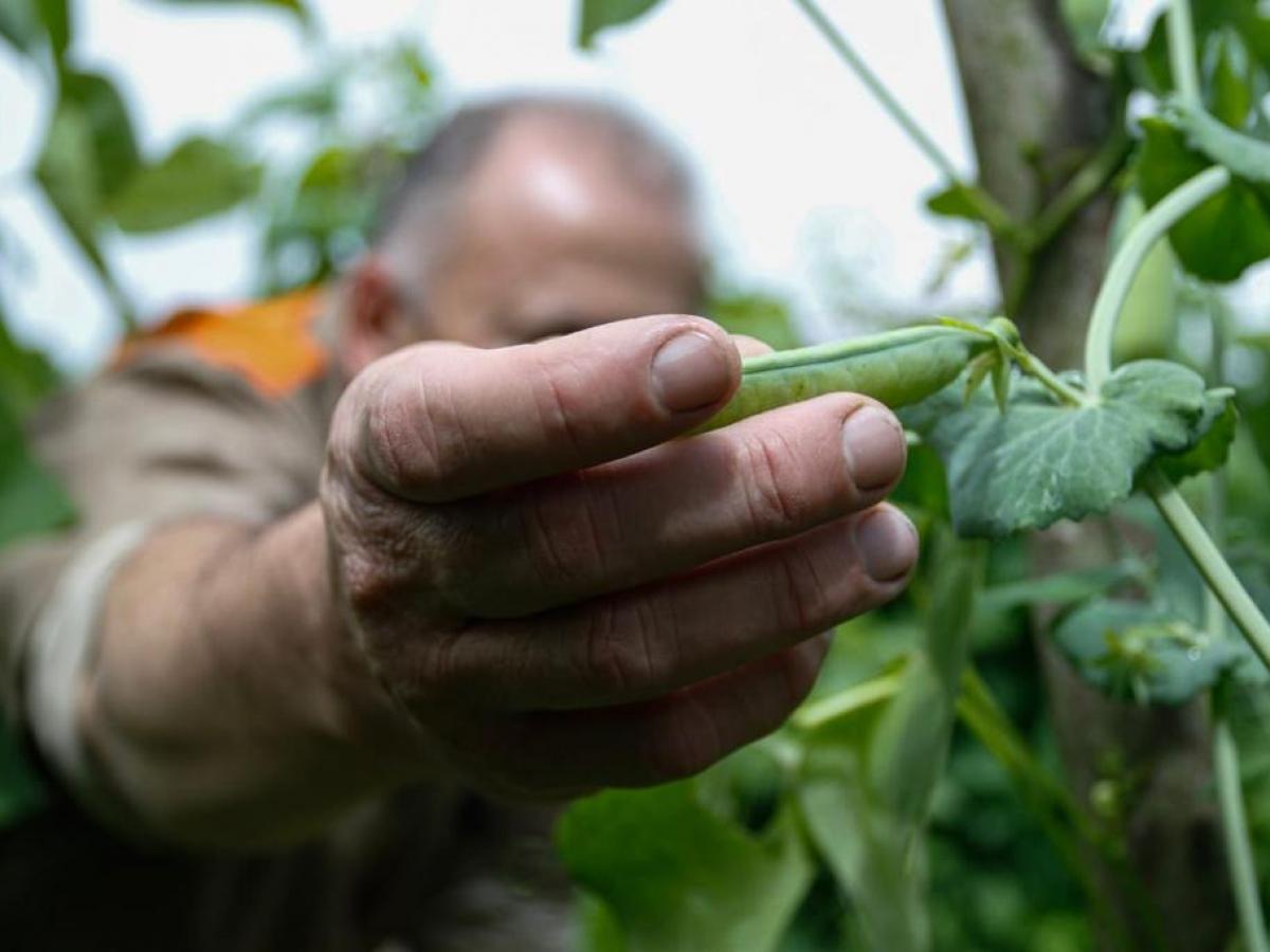 Una granja en la cárcel de varones de Manizales