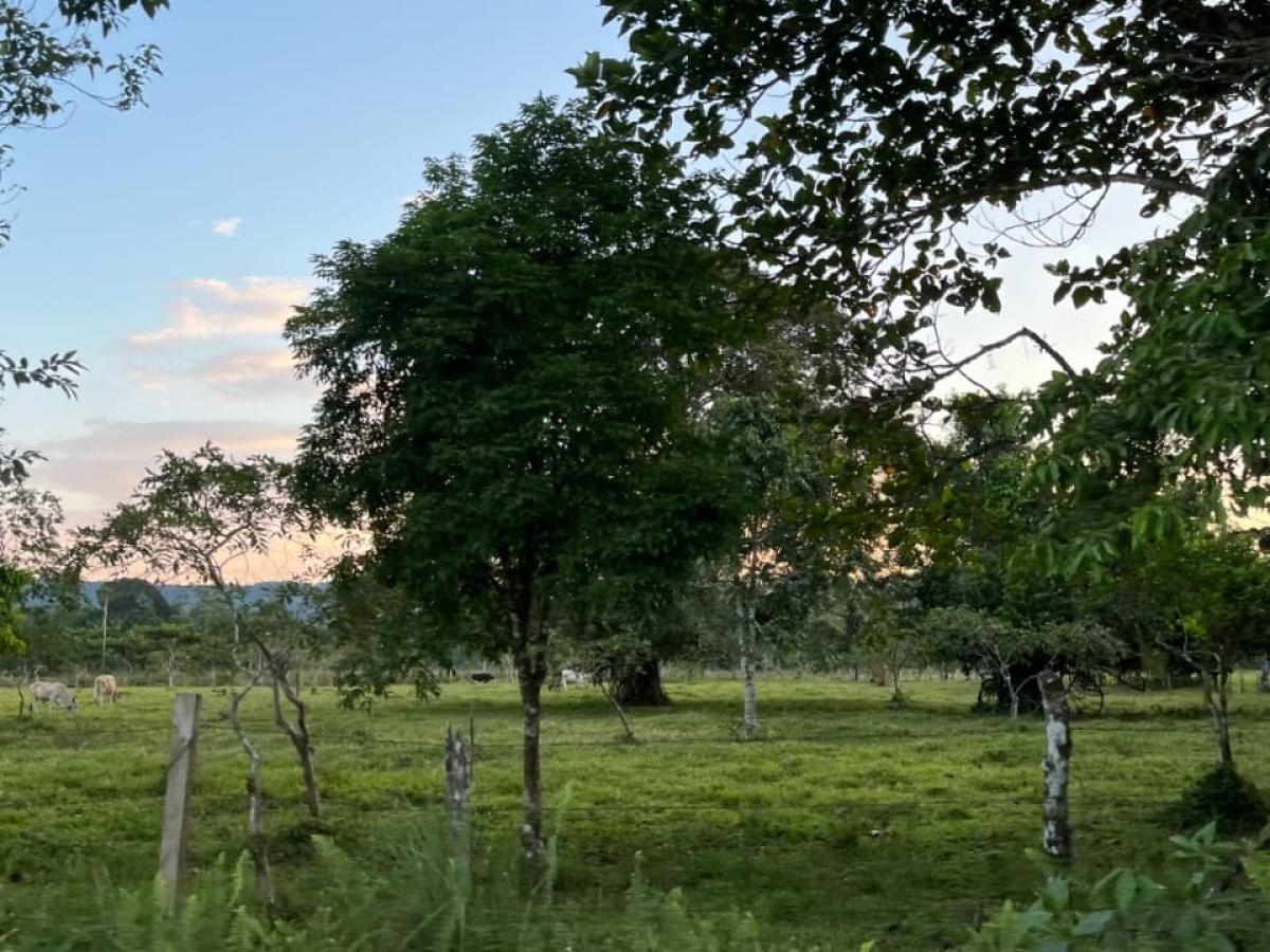 Cómo evitar estafas o delitos en predios rurales | Agencia Nacional de Tierras 