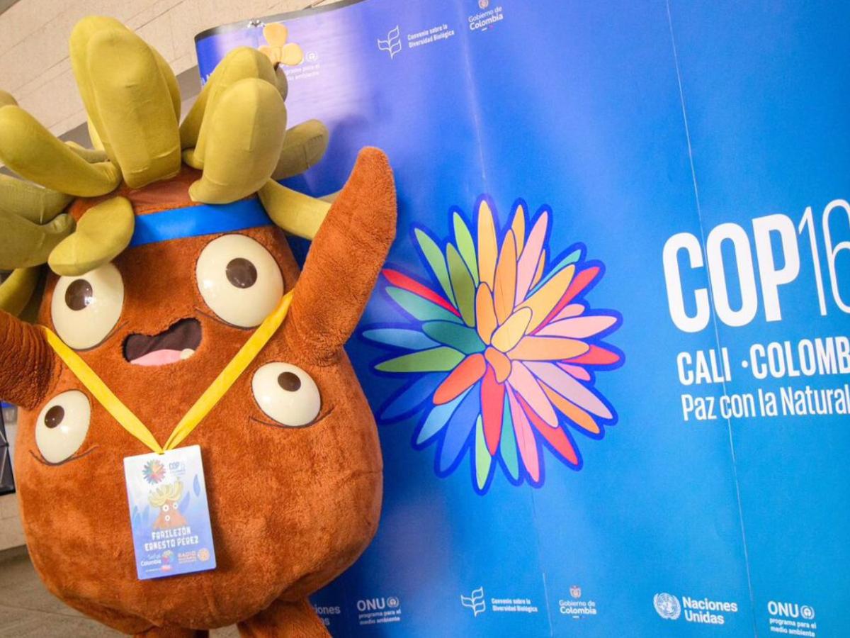 Balance de la COP16 en la Zona Verde- mejores momentos- cifras