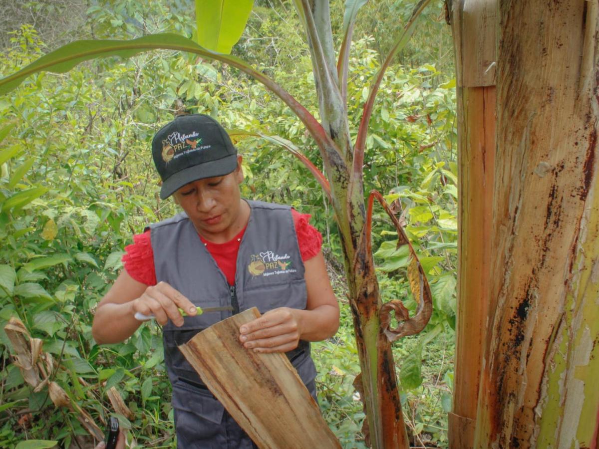 Valle del Cauca: mejor calidad de vida de agricultores