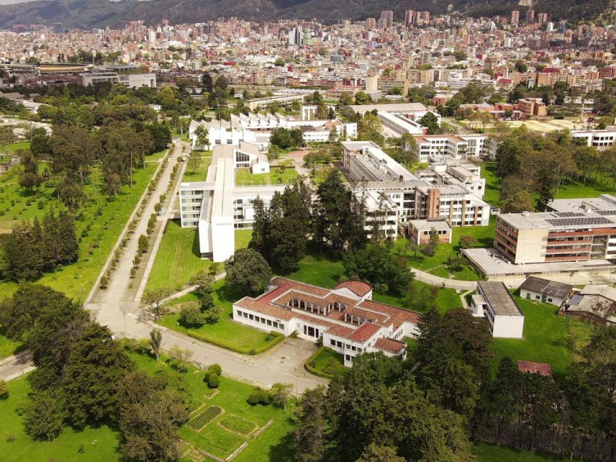 Ministro ad-hoc y sesión extraordinaria para elegir rector de UNacional 