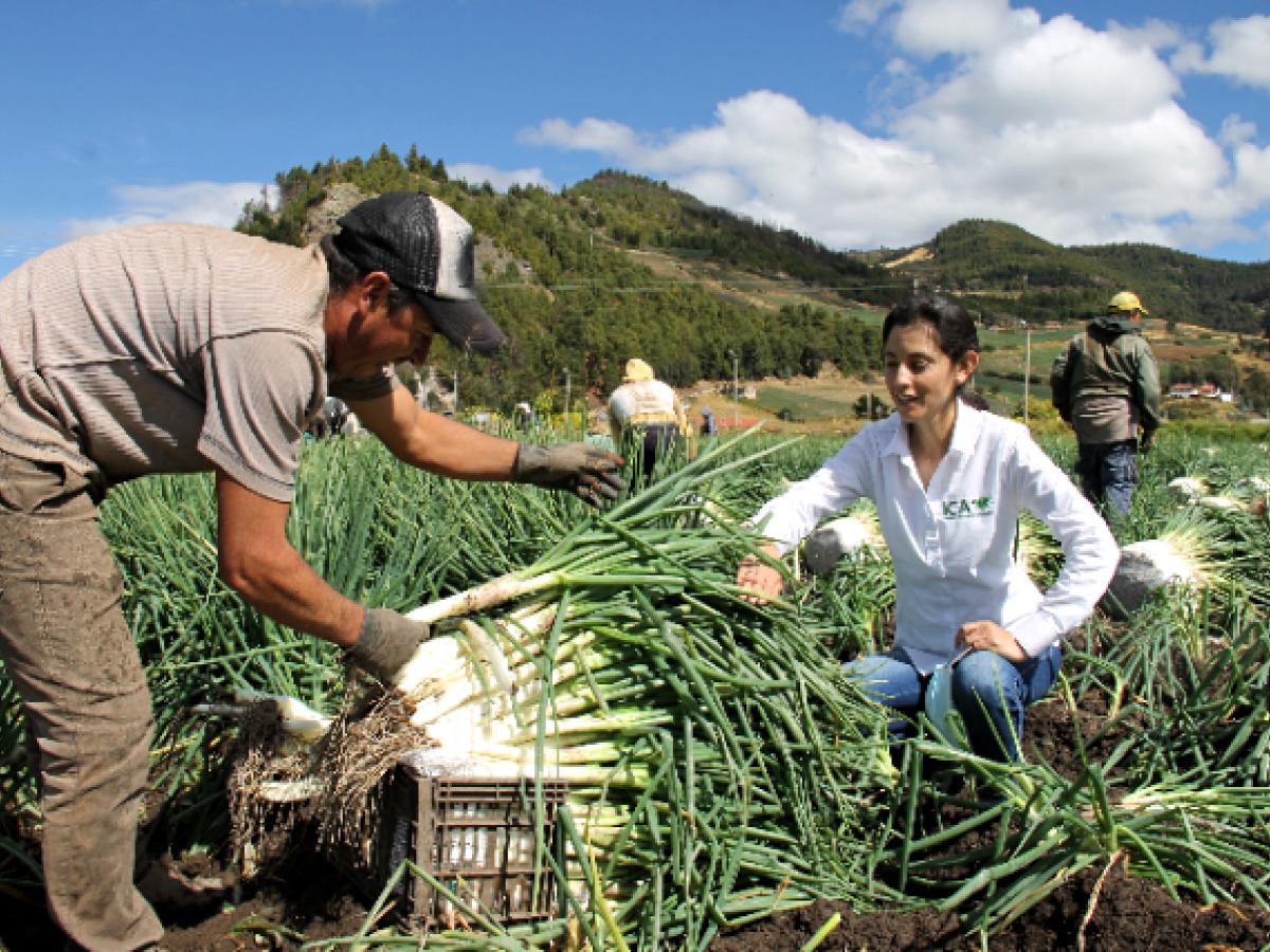 Senado aprueba en segundo debate proyecto de ley que reglamenta la Jurisdicción Especial Agraria