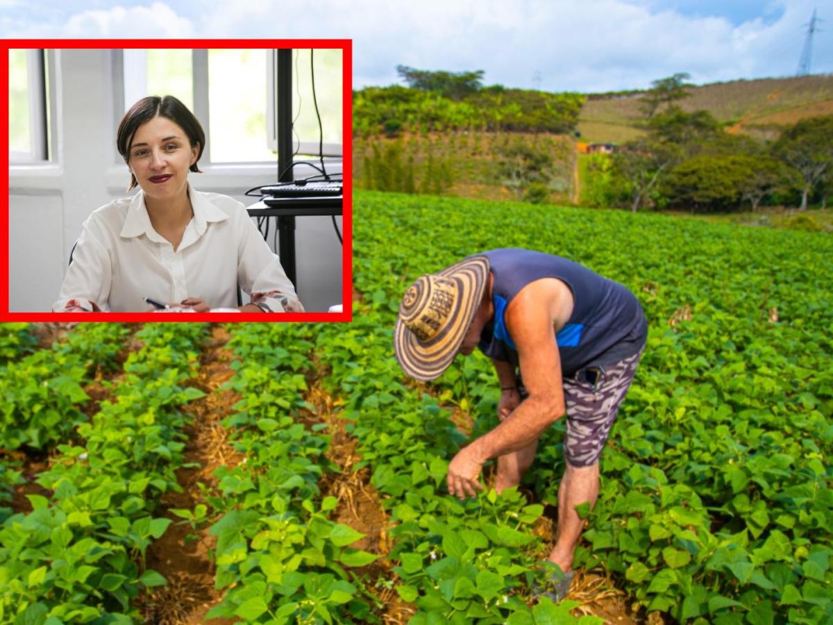 Avances del Ministerio de Agricultura en noviembre 2025