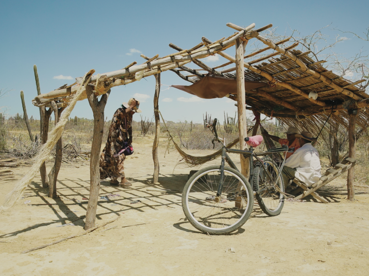 Festival de Cine de Cartagena 2025: película inaugural HOY 